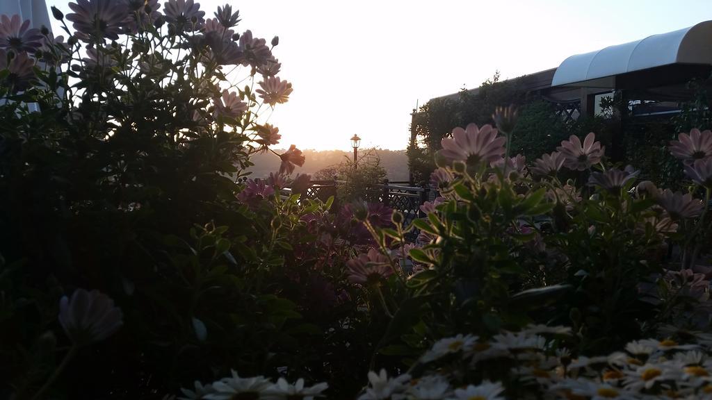 Hotel Villa Degli Angeli Castel Gandolfo Εξωτερικό φωτογραφία